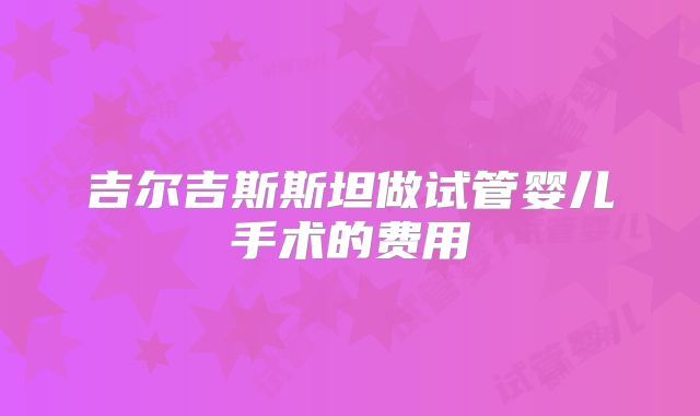 吉尔吉斯斯坦做试管婴儿手术的费用