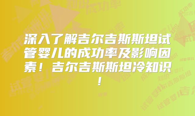 深入了解吉尔吉斯斯坦试管婴儿的成功率及影响因素！吉尔吉斯斯坦冷知识！