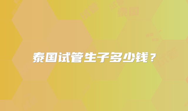 泰国试管生子多少钱？