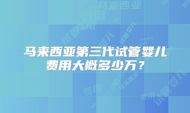 马来西亚第三代试管婴儿费用大概多少万？