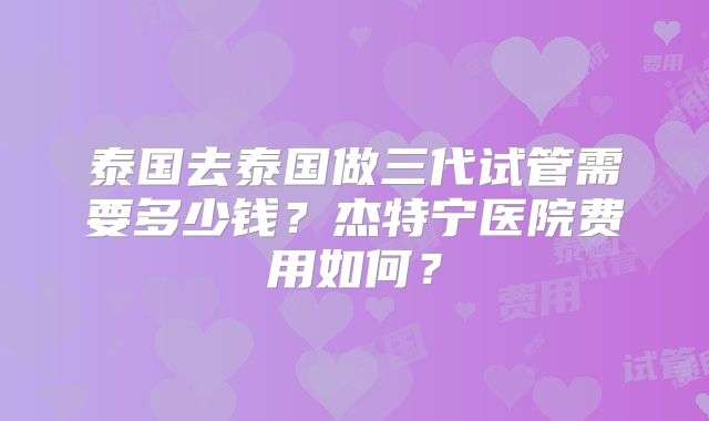 泰国去泰国做三代试管需要多少钱？杰特宁医院费用如何？
