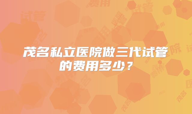 茂名私立医院做三代试管的费用多少？