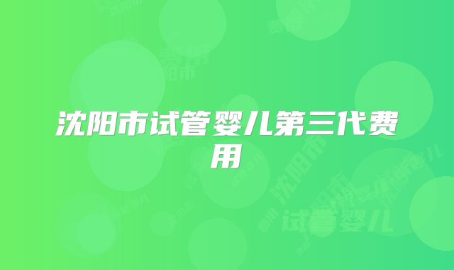 沈阳市试管婴儿第三代费用