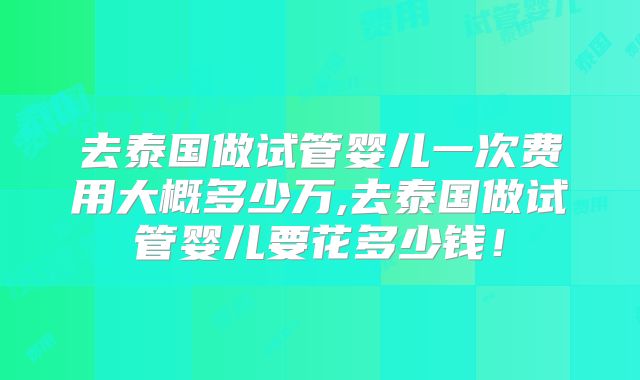 去泰国做试管婴儿一次费用大概多少万,去泰国做试管婴儿要花多少钱！