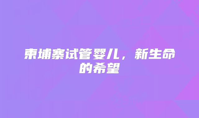 柬埔寨试管婴儿,新生命的希望