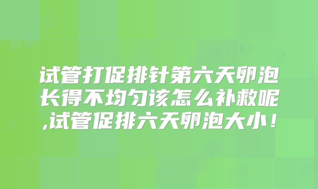 试管打促排针第六天卵泡长得不均匀该怎么补救呢,试管促排六天卵泡大小！
