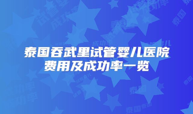 泰国吞武里试管婴儿医院费用及成功率一览