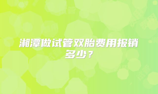 湘潭做试管双胎费用报销多少？