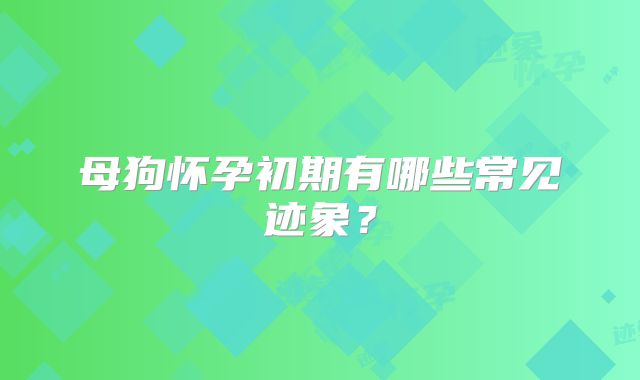 母狗怀孕初期有哪些常见迹象?
