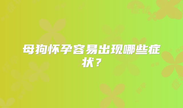 母狗怀孕容易出现哪些症状?