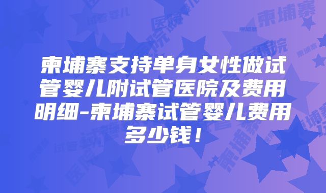 柬埔寨支持单身女性做试管婴儿附试管医院及费用明细-柬埔寨试管婴儿费用多少钱！