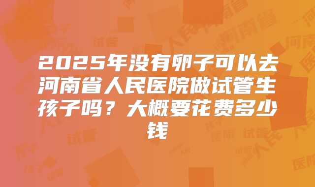 2025年没有卵子可以去河南省人民医院做试管生孩子吗？大概要花费多少钱