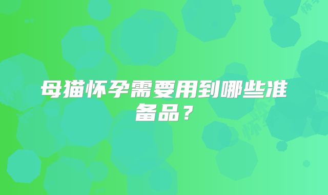 母猫怀孕需要用到哪些准备品?