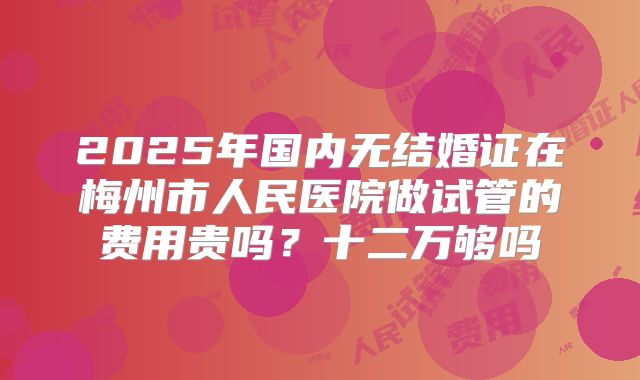 2025年国内无结婚证在梅州市人民医院做试管的费用贵吗？十二万够吗