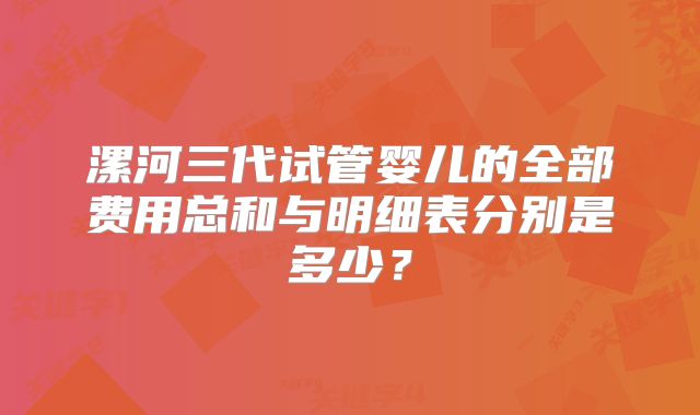 漯河三代试管婴儿的全部费用总和与明细表分别是多少？