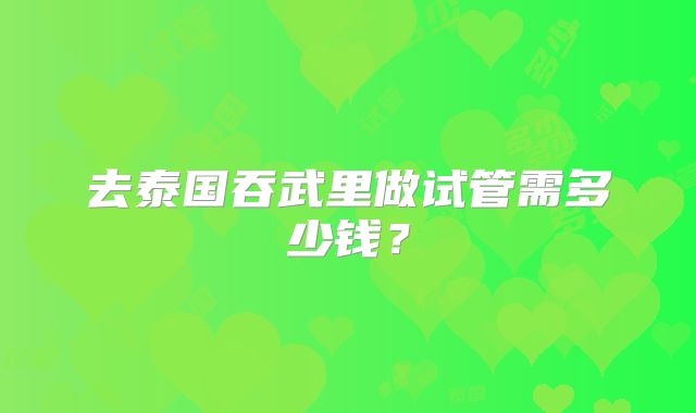 去泰国吞武里做试管需多少钱？