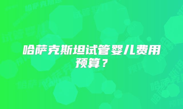哈萨克斯坦试管婴儿费用预算？