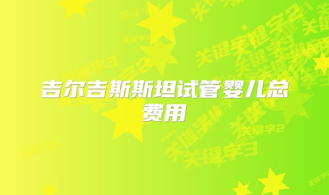 吉尔吉斯斯坦试管婴儿总费用