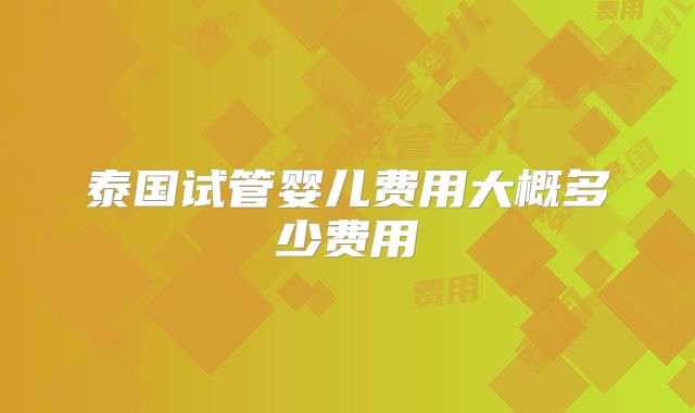 泰国试管婴儿费用大概多少费用