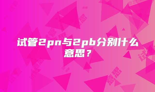 试管2pn与2pb分别什么意思？
