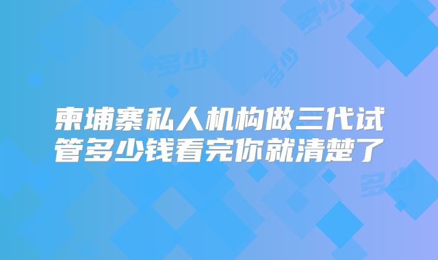 柬埔寨私人机构做三代试管多少钱看完你就清楚了