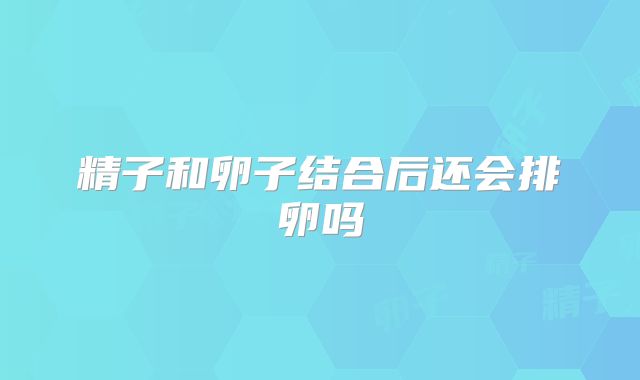 精子和卵子结合后还会排卵吗
