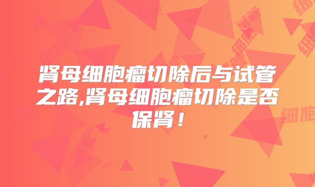 肾母细胞瘤切除后与试管之路,肾母细胞瘤切除是否保肾！