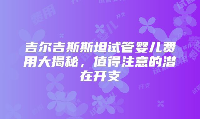 吉尔吉斯斯坦试管婴儿费用大揭秘,值得注意的潜在开支