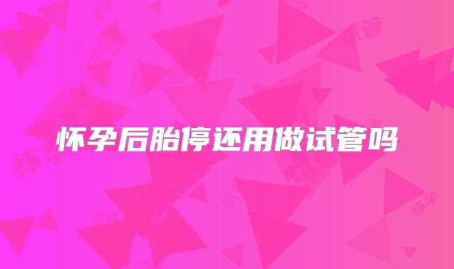 怀孕后胎停还用做试管吗