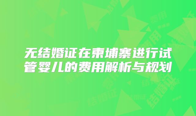 无结婚证在柬埔寨进行试管婴儿的费用解析与规划
