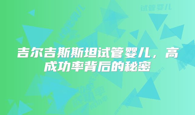 吉尔吉斯斯坦试管婴儿，高成功率背后的秘密