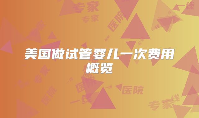 美国做试管婴儿一次费用概览