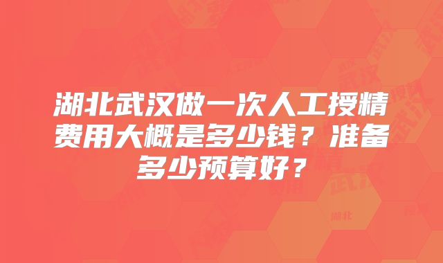 湖北武汉做一次人工授精费用大概是多少钱?准备多少预算好?
