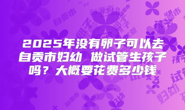 2025年没有卵子可以去自贡市妇幼 做试管生孩子吗？大概要花费多少钱