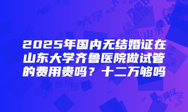 2025年国内无结婚证在山东大学齐鲁医院做试管的费用贵吗?十二万够吗