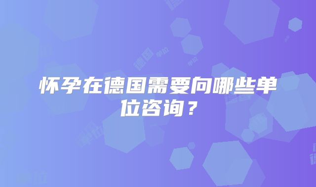 怀孕在德国需要向哪些单位咨询?