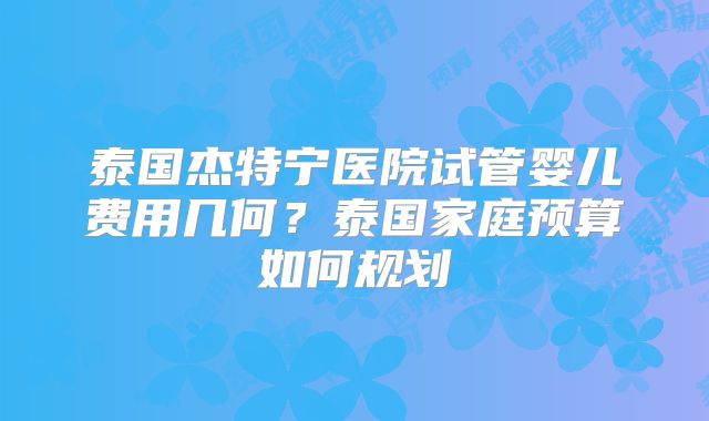 泰国杰特宁医院试管婴儿费用几何？泰国家庭预算如何规划