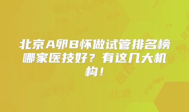 北京A卵B怀做试管排名榜哪家医技好？有这几大机构！