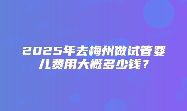 2025年去梅州做试管婴儿费用大概多少钱？