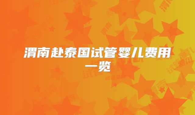 渭南赴泰国试管婴儿费用一览