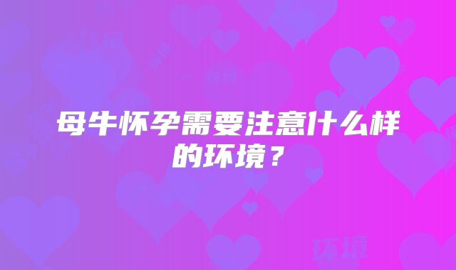 母牛怀孕需要注意什么样的环境?