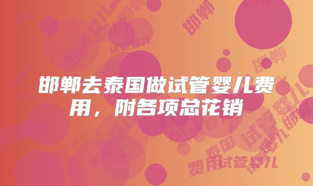 邯郸去泰国做试管婴儿费用，附各项总花销