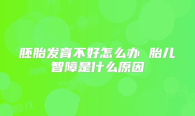 胚胎发育不好怎么办 胎儿智障是什么原因