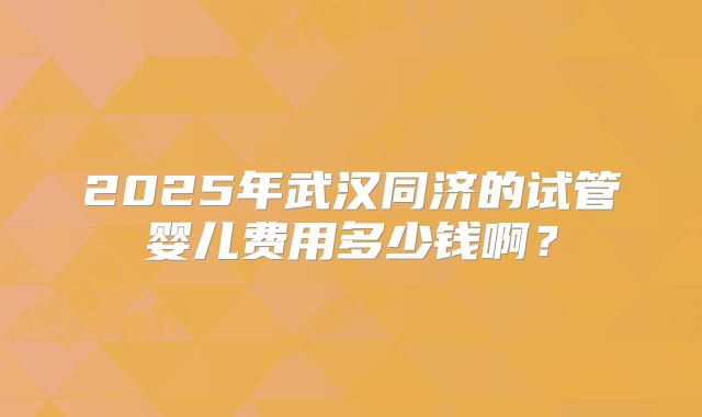 2025年武汉同济的试管婴儿费用多少钱啊?