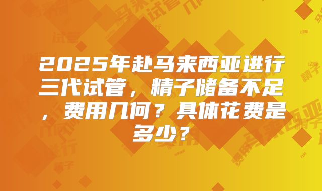 2025年赴马来西亚进行三代试管,精子储备不足,费用几何?具体花费是多少?