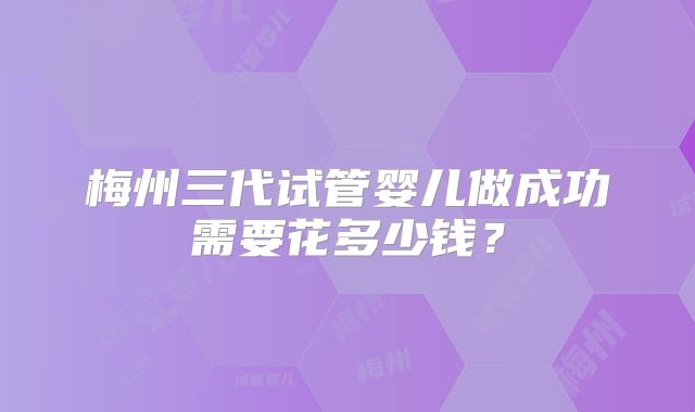 梅州三代试管婴儿做成功需要花多少钱?