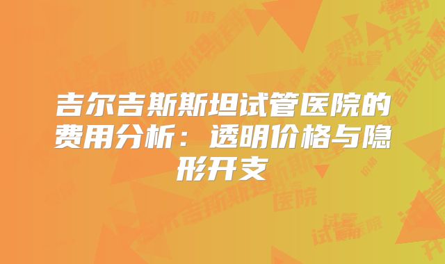 吉尔吉斯斯坦试管医院的费用分析：透明价格与隐形开支
