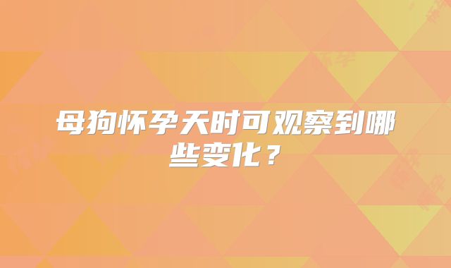 母狗怀孕天时可观察到哪些变化?