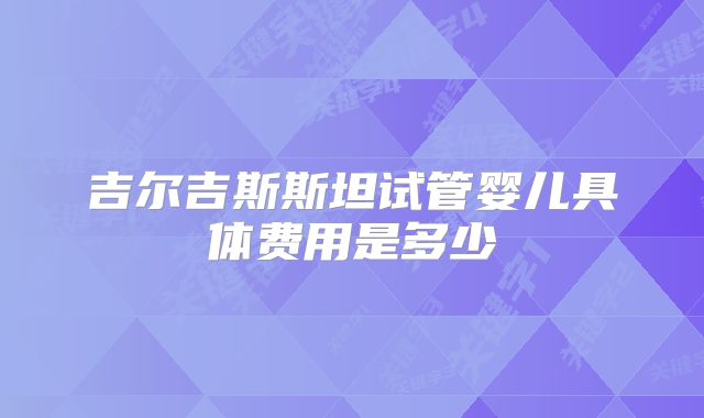 吉尔吉斯斯坦试管婴儿具体费用是多少