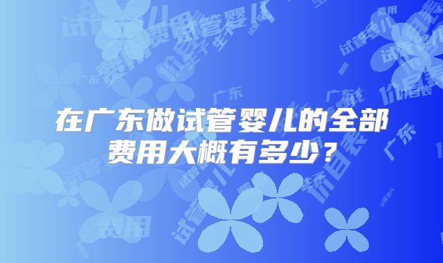 在广东做试管婴儿的全部费用大概有多少？